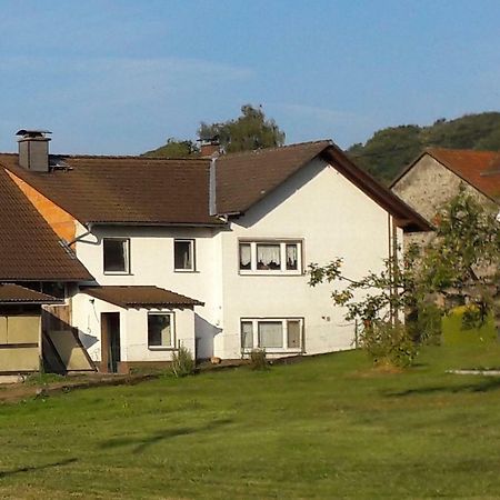Ferienwohnung Auf Dem Pferdehof Schotten Exterior photo