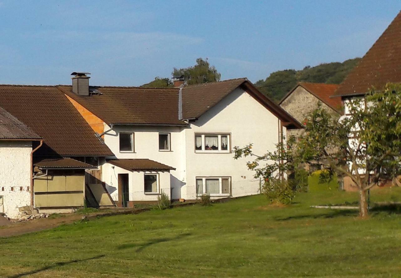 Ferienwohnung Auf Dem Pferdehof Schotten Exterior photo